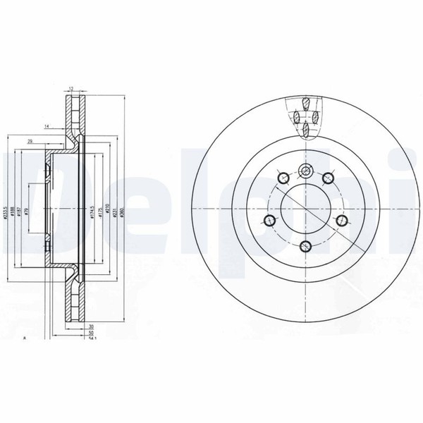 2X Bremsscheibe Delphi BG9007C FüR Rover Range Sport Discovery L319 Landrover 1-image