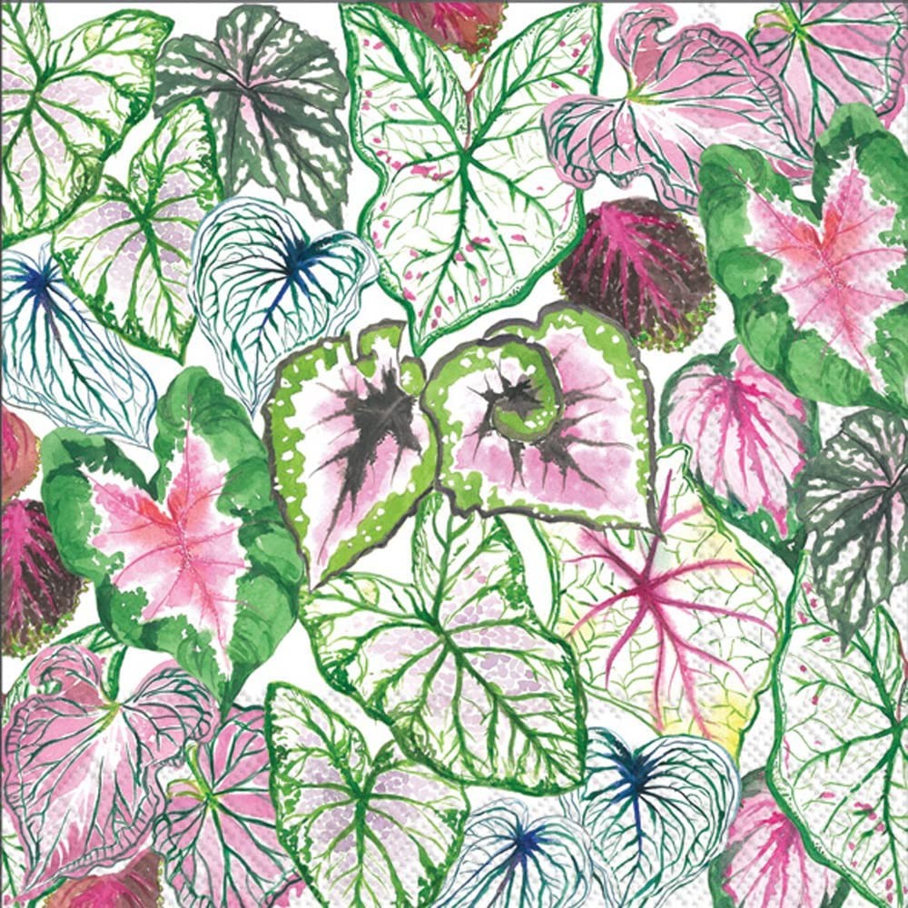 Бостонский международный 65 х 65 дюйма Бумажная салфетка для ланча Сочные листья 2590₽