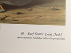 Bild 5 von 9