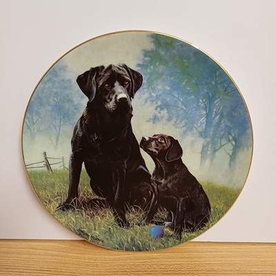 Royal Doulton Porzellan Hundeteller schwarz Labrador Retriever Geschenk treue Freunde
