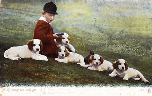 Antique-1906-Postcard-Tucks-Animal-Life-Series-1416-Hunting-We-Will-Go-Dogs-D22