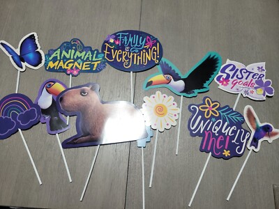 Disney Encanto Birthday Photo Props And Background