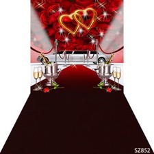 10'x20' Computer-painted Rose Car Valentine Day Scenic background backdrop SZ852