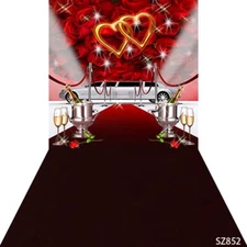 10'x20' Computer-painted Rose Car Valentine Day Scenic background backdrop SZ852