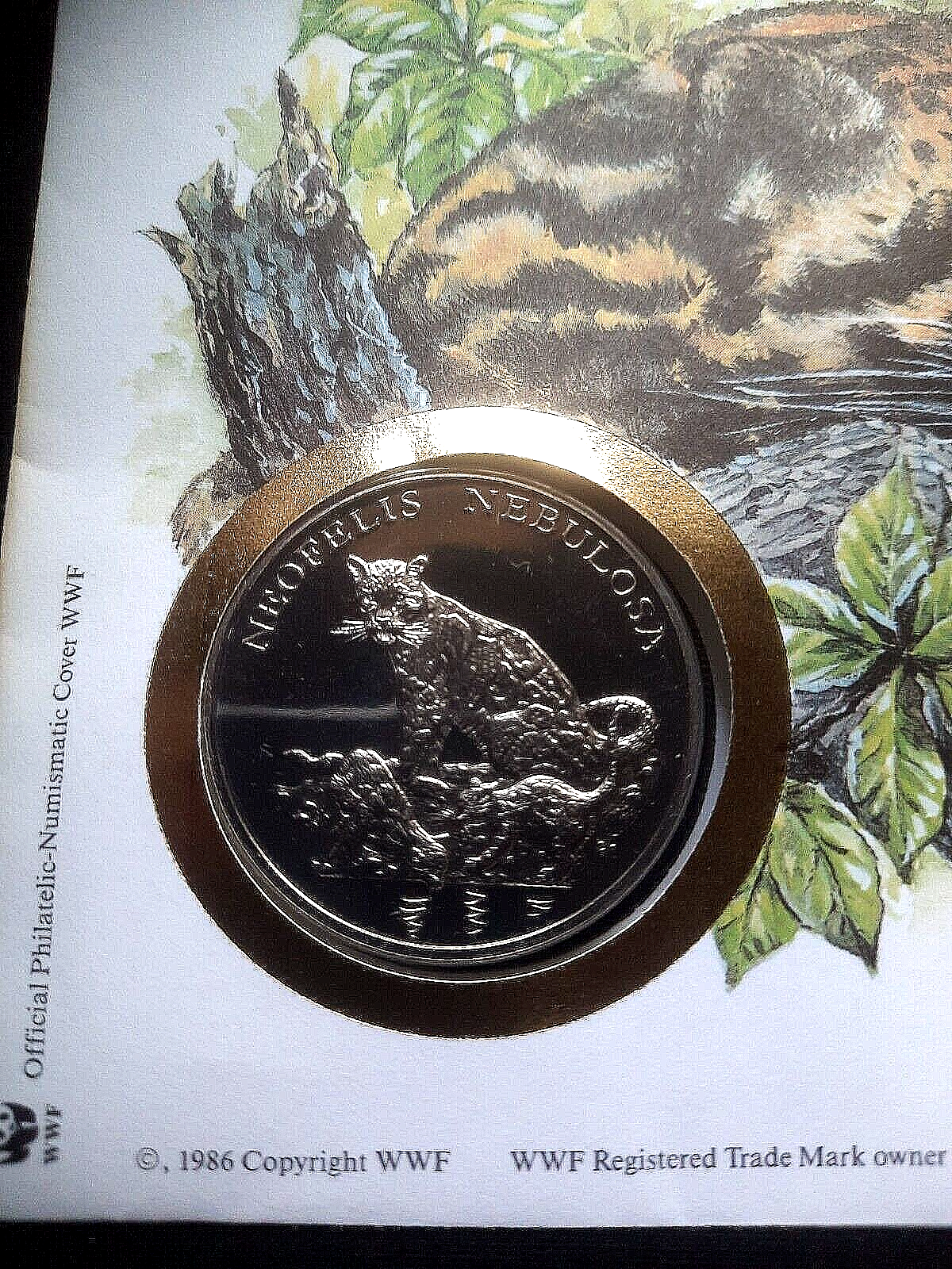 Picture 7 of 14