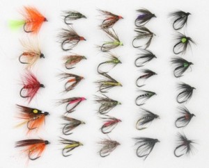 flies trout selection fishing barbless assorted wet rainbow