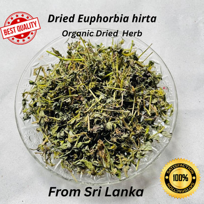 Euphorbia Hirta Dried Herb Organic Snakeweed Herbal Plant Material Bulk Pack