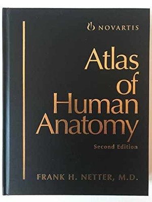 Atlas of Human Anatomy - Hardcover, by Netter Frank H.; Colacino - Very Good