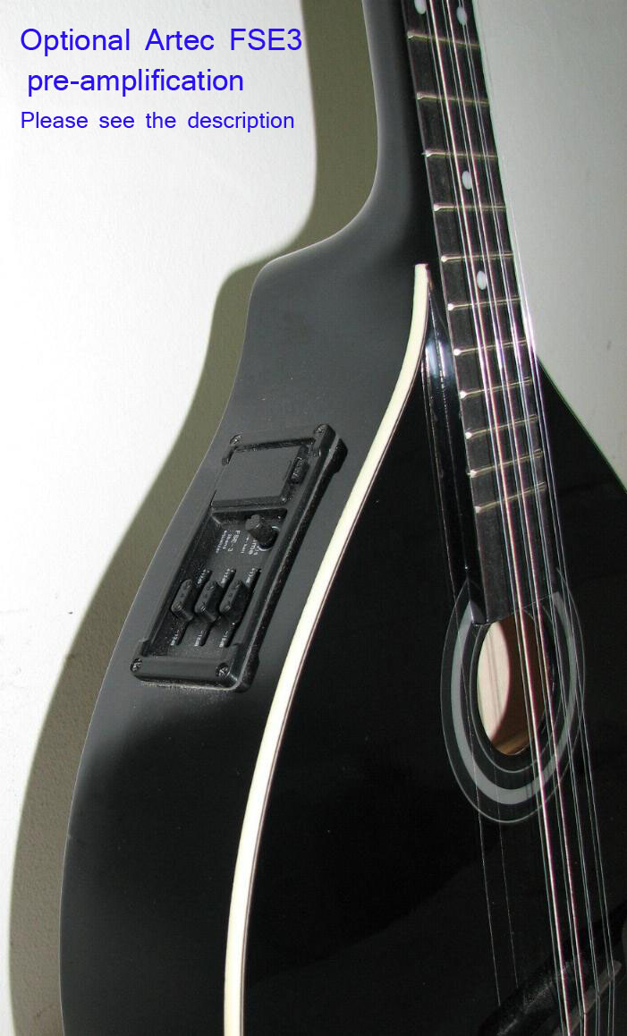Irish bouzouki black color, by Hora Romania eBay