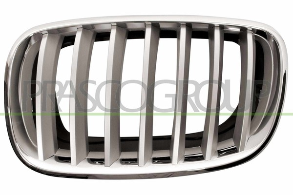 Prasco KüHlergitter Links FüR BMW X5 E70 3.0D Xdrive30D Titan Chrom-image