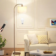 Arc Floor Lamp with Remote and Stepless Dimmable Bulb, Colors Temperature & B...