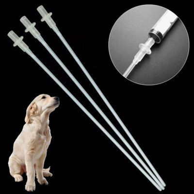 10PCS Canine Dog Goat Sheep Artificial Insemination Breed Whelp Catheter  Rod New | eBay