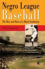 Negro League Baseball : The Rise and Ruin of ...
