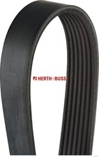 HERTH+BUSS JAKOPARTS J1072060 Keilrippenriemen Keilriemen 