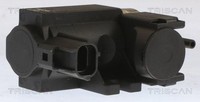 Triscan Druckwandler, Abgassteuerung 8813 13071