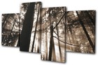 Landscapes Forest MULTI CANVAS WALL ART Picture Print VA