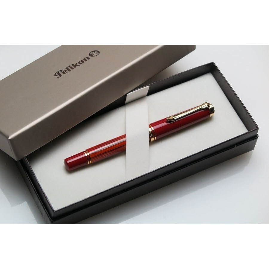 Pelikan Special Edition Fountain Pen SouveränM600 Tortoiseshell