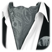 Ascot Ties for Men Paisley Self Tie Ascot and Pocket Square Set Classic Woven...