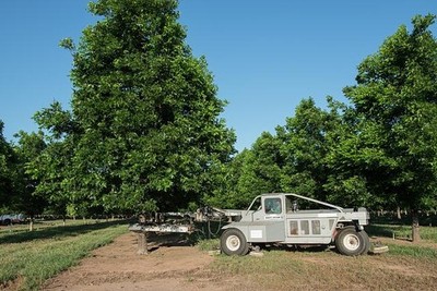 Photo:Charlie Texas Tim Montz Pecan Orchard Tree Shaker 2014