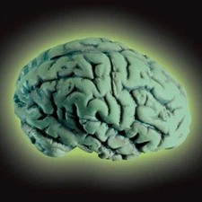 Glow Brain