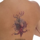 Bild 2 von 3