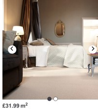 San Marino Twist Carpet 4.8m x 2.8m  (RRP £429.95)