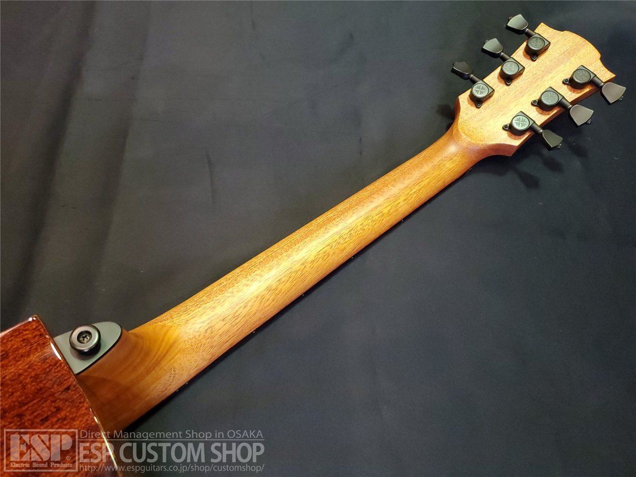 Lag Guitars T118Ace Safe delivery from Japan | eBay