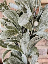 Ice Kissed Mistletoe Christmas Winter Decor Pick 16” NEW