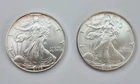 2) 2004 & 2005 American Silver Eagle Lot. Gem UNCIRCULATED. Edge Color