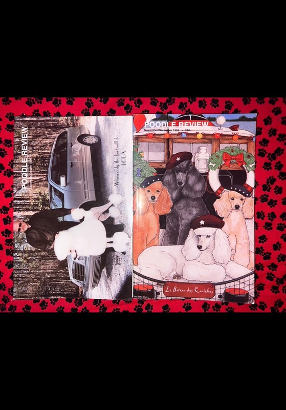 POODLE REVIEW Magazine #24 1999 (lot 2)