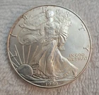 U.S. Mint 1999 American Eagle 1 oz Silver Coin .999  Business Strike Uncertified