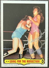 1985 Topps WWF Pro Wrestling Stars Wrestling Cards 18