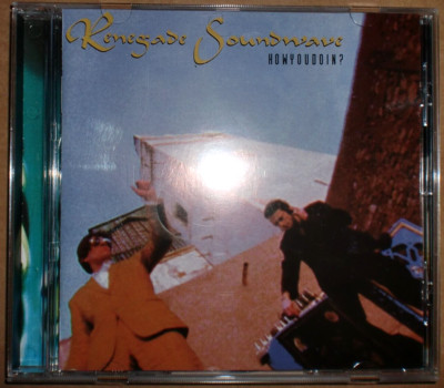 RENEGADE SOUNDWAVE - HOWYOUDOIN? / CD / GER /MUTE / 1994