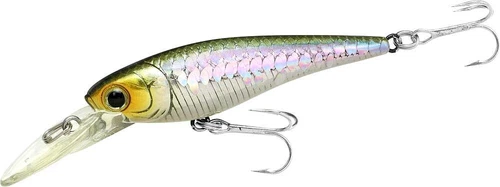 LUCKY CRAFT JAPAN Bevy Shad 60SP - 0147 MS Wakasagi (1qy) ~JDM~ 