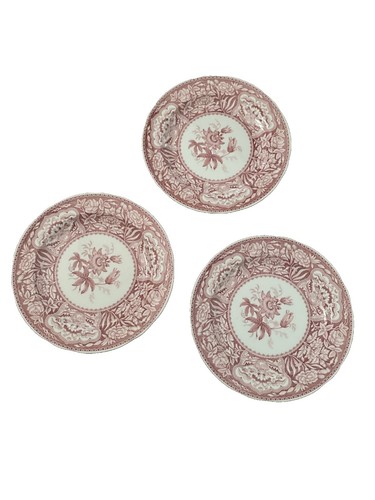 Spode Archive Regency 