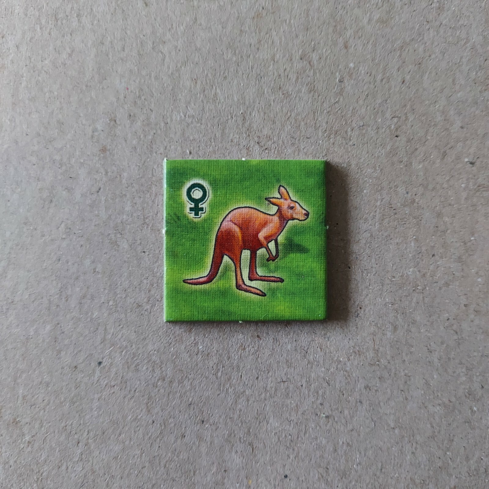 Bild 52 von 52