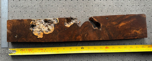 Desert Ironwood #8