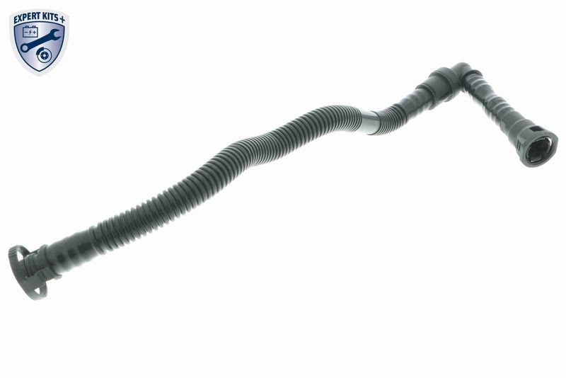 Tuyau ventilation carter-moteur VAICO V20-1800 durite reniflard huile 11157513903