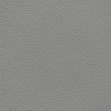 Nissan Medium Gray Leather Dye