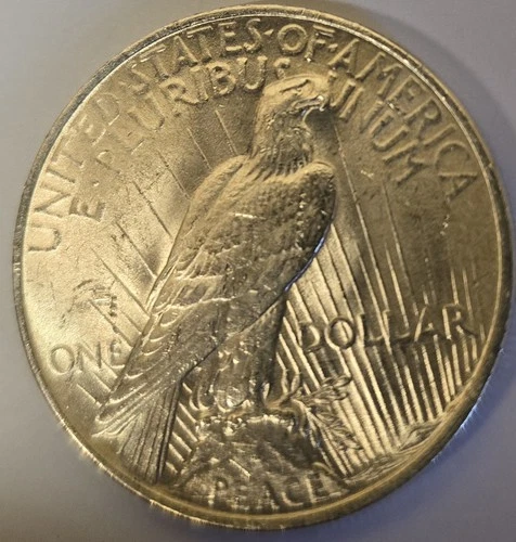 Peace Silver Dollar 1923 - BU FROM OG ROLL ✅️