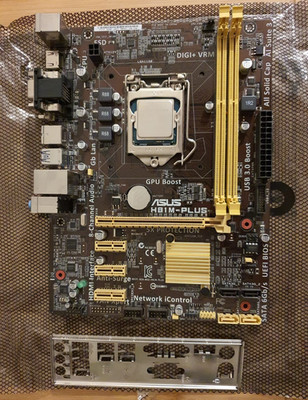 ASUS H81M-PLUS Intel H81 Mainboard Micro ATX Sockel 1150 mit ATX Blende + G3260