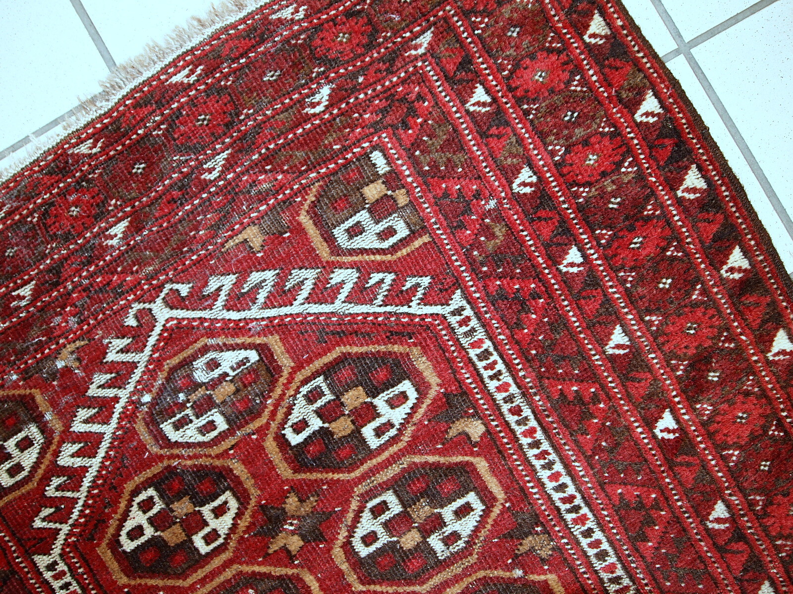 Picture 10 of 11