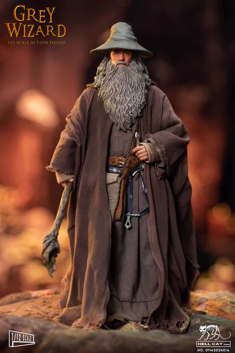 Hell Cat DYM202401A 1/12 Grey Wizard Collectible Male Action