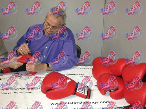 TERRY DOWNES SIGNIERTER EVERLAST BOXHANDSCHUH SIEHE BEWEIS WELTMEISTER COA & BEWEIS - Bild 2 von 2