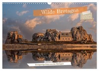 "Calendar 2027 · US Version · Wild Brittany (Wall Calendar 2027 17\" × 12\" Landsca"