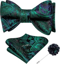 Dubulle Self Tie Bow Ties and Lapel Pin for Men Paisley Solid Greens Blue