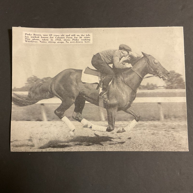 WHIRLAWAY 8 X 6 photo Horse  Racing PINKY BROWN