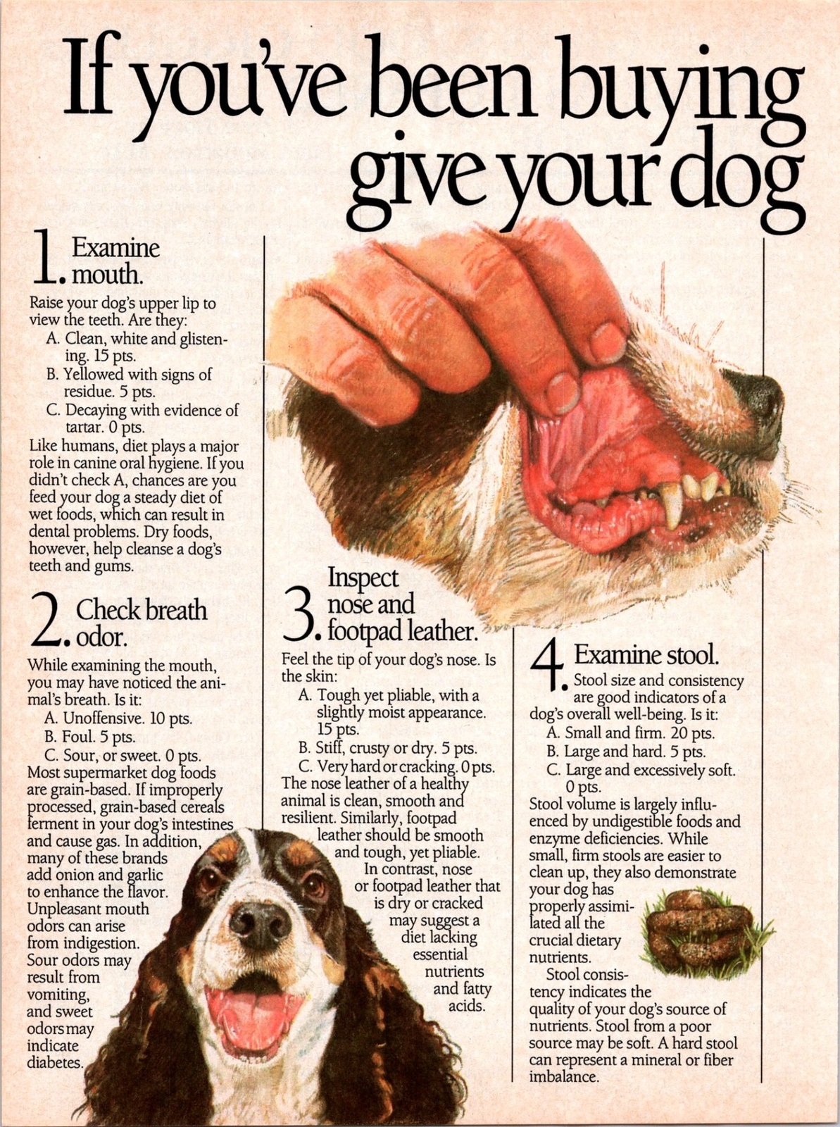 Pet Health & Nutrition Spot Quiz Two Page Ad Family Circle 1987