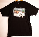 Foto 4 di 5