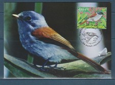 carte 1er jour nature faune oiseau  toucan  973  Matoury  2003